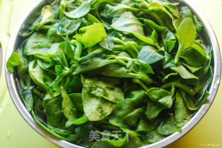 清热解毒消炎败火护眼保健的凉拌美食—凉拌穿心莲的做法步骤：2