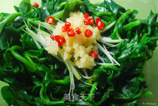 清热解毒消炎败火护眼保健的凉拌美食—凉拌穿心莲的做法步骤：4
