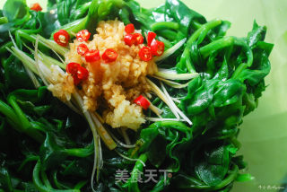 清热解毒消炎败火护眼保健的凉拌美食—凉拌穿心莲的做法步骤：5