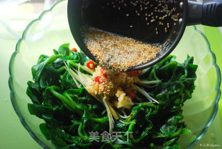 清热解毒消炎败火护眼保健的凉拌美食—凉拌穿心莲的做法步骤：7