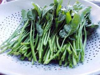 野生菌熟菌粉炒空心菜的做法步骤：1