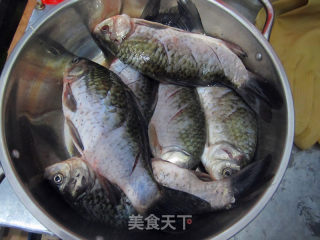家乡酥鲫鱼的做法步骤：1