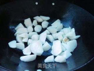 野生熟菌粉煮萝卜的做法步骤：4