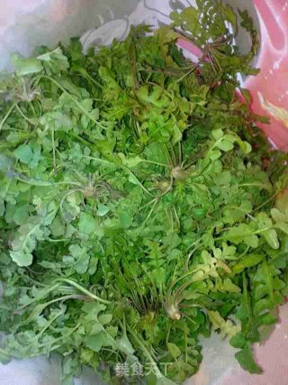 香干炒荠菜的做法步骤：1