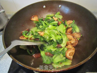 耗油香菇油菜的做法步骤：6