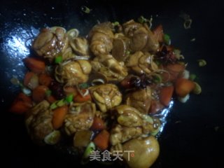 鸡肉焖香菇土豆的做法步骤：6