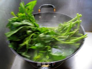 凉拌憃菜的做法步骤：5