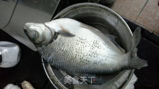 冬菇蛋丝蒸海鯿的做法步骤：1