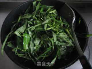 蒜蓉空心菜的做法步骤：4