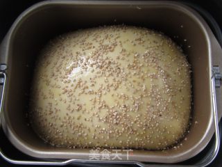 面包机版醇奶吐司的做法步骤：13