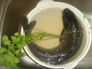 酸菜鱼的做法步骤：1