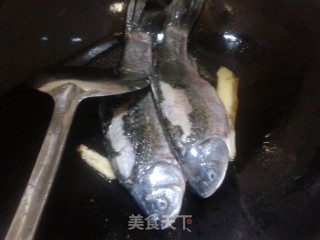 牛奶炖鲫鱼的做法步骤：3