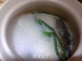 牛奶炖鲫鱼的做法步骤：5
