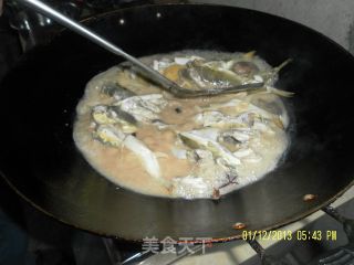 北海菜——清炆龟鱼（河豚）的做法步骤：4