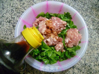 芹菜叶肉馅春卷的做法步骤：5
