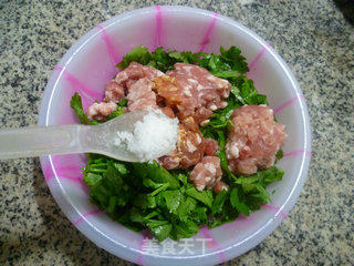 芹菜叶肉馅春卷的做法步骤：6