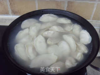东北猪肉酸菜馅水饺的做法步骤：6