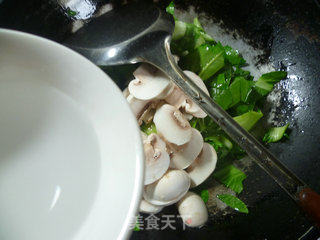 蘑菇炒青菜的做法步骤：5