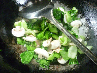 蘑菇炒青菜的做法步骤：6