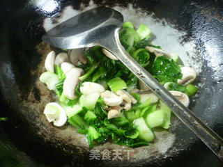 蘑菇炒青菜的做法步骤：8