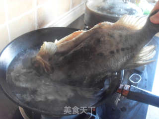 温拌海参斑鱼皮的做法步骤：2