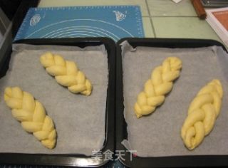 汤种卡仕达辫子面包的做法步骤：20