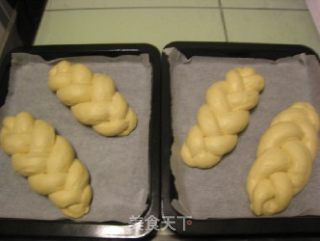 汤种卡仕达辫子面包的做法步骤：21