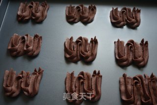 维也纳可可酥饼的做法步骤：5