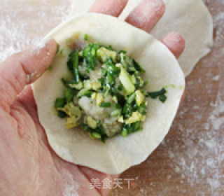 肉三鲜煎饺的做法步骤：10