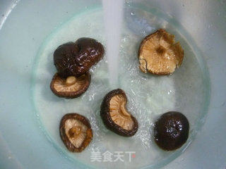 双菇圆白菜的做法步骤：3