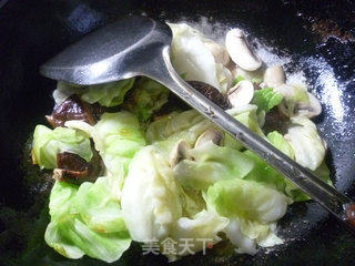 双菇圆白菜的做法步骤：8