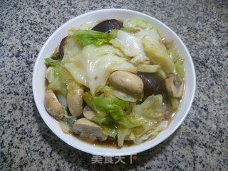 双菇圆白菜的做法步骤：12