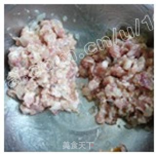 大人小孩都爱的【煎肉饼】的做法步骤：5