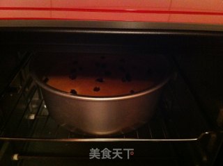 蜜枣海绵蛋糕的做法步骤：10