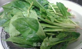 凉拌菠菜的做法步骤：1