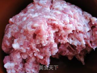 南瓜芽菜包的做法步骤：8