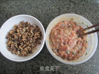 香菇鲜肉包子的做法步骤：4