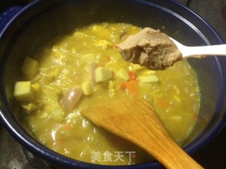 咖喱鸡肉饭的做法步骤：14