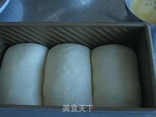 奶香蔓越莓中种土司的做法步骤：12