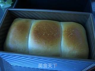 奶香蔓越莓中种土司的做法步骤：13
