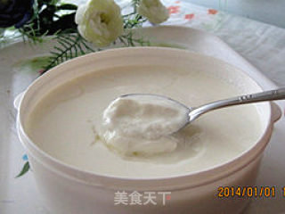 豆芽机版自制酸奶的做法步骤：9