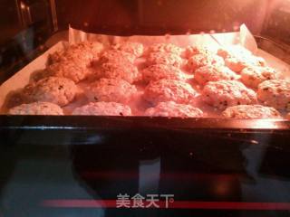 燕麦酥饼的做法步骤：9