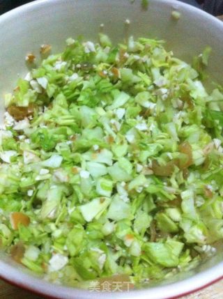 素味煎饺的做法步骤：4