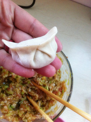 【饺子】---为家人准备的早餐的做法步骤：10
