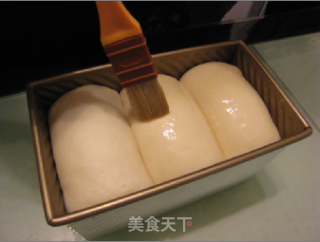 北海道吐司（100%中种低温冷藏发酵法）的做法步骤：18
