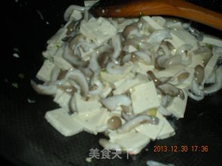 平菇炖豆腐的做法步骤：4