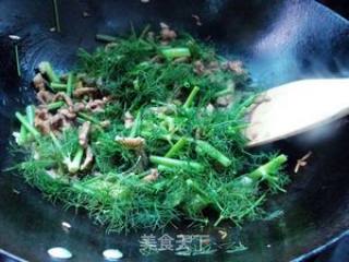 茴香菜炒肉丝的做法步骤：7