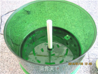 自生绿豆芽的做法步骤：2