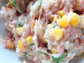 香煎肉饼的做法步骤：2