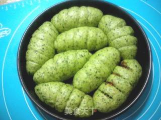 菠菜海苔肉松餐包的做法步骤：7